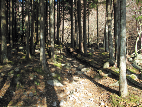 20161206hike (11)